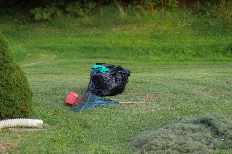 Yard Clean Up