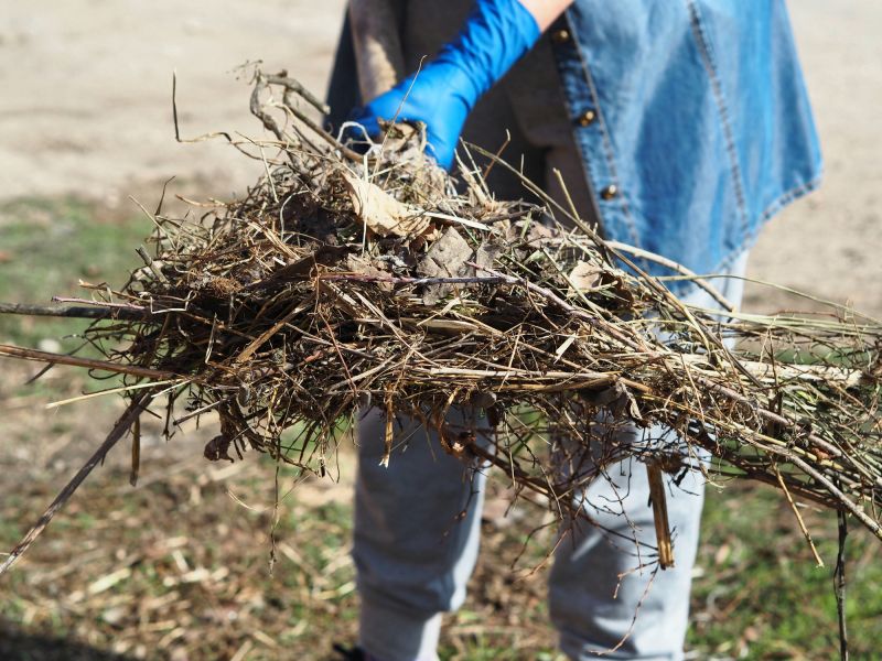 Lawn Debris Cleanup in Ventura County, CA
