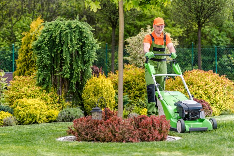Local Lawn Care Providers